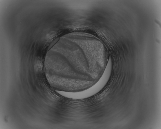 X0000091681300200709201231