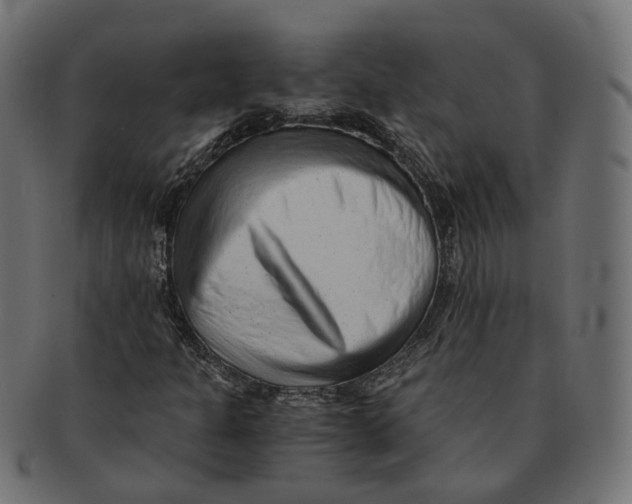 X0000091681301200709201231