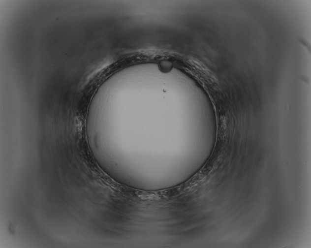 X0000091681302200709201231