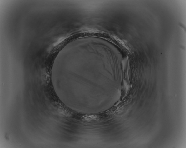 X0000091681303200709201231