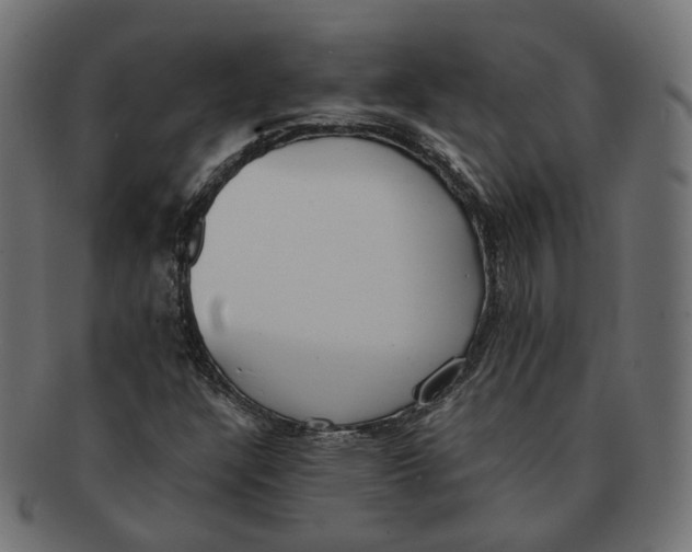 X0000091681304200709201231