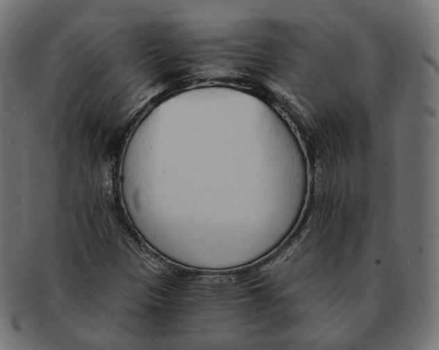 X0000091681305200709201231