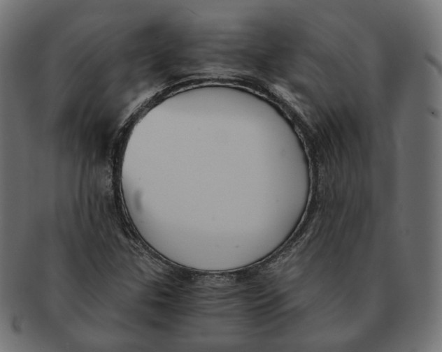 X0000091681307200709201231