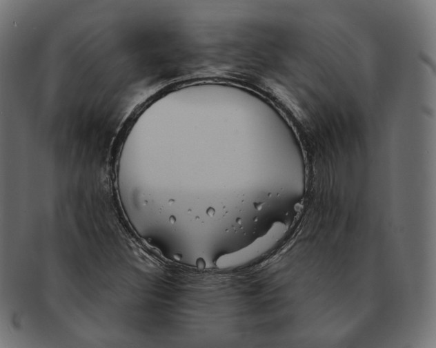 X0000091681308200709201231