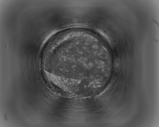 X0000091681310200709201231