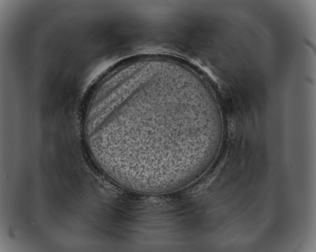 X0000091681311200709201231