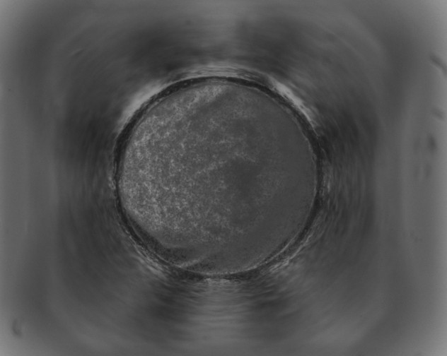 X0000091681312200709201231