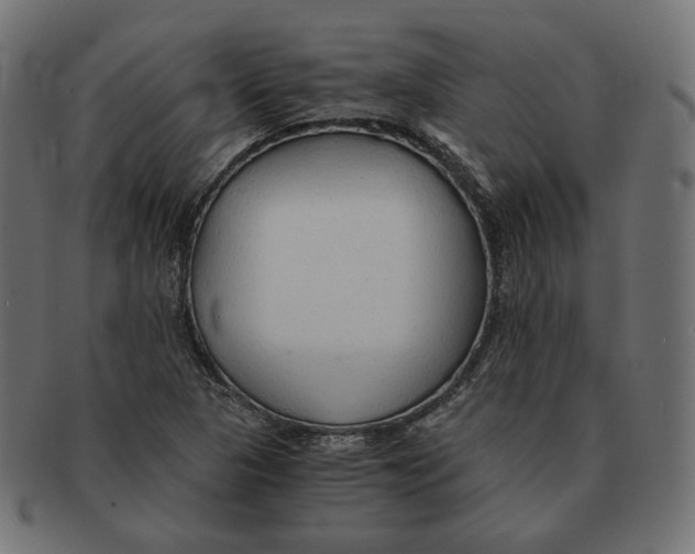 X0000091681313200709201231