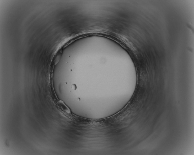 X0000091681316200709201231