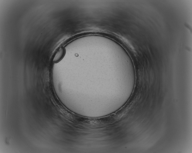 X0000091681318200709201231