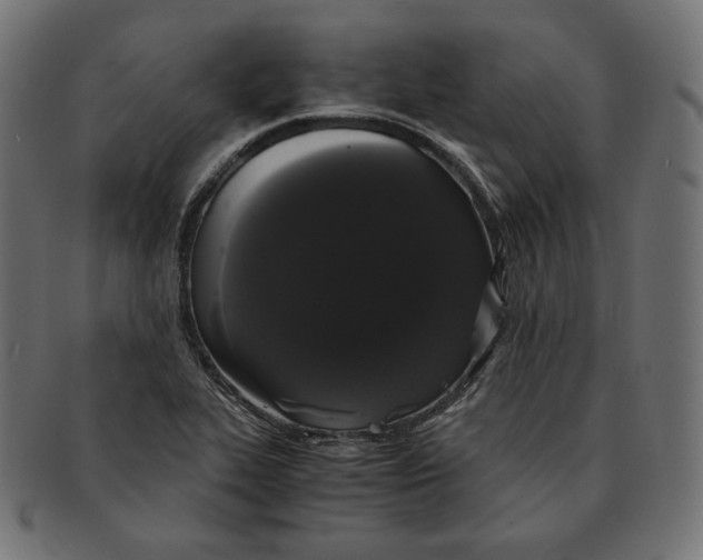 X0000091681319200709201231