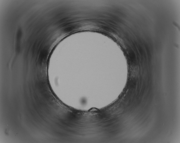 X0000091681322200709201231