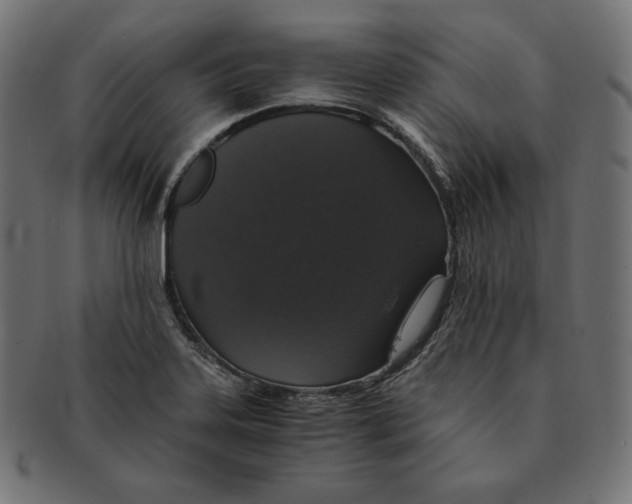 X0000091681323200709201231