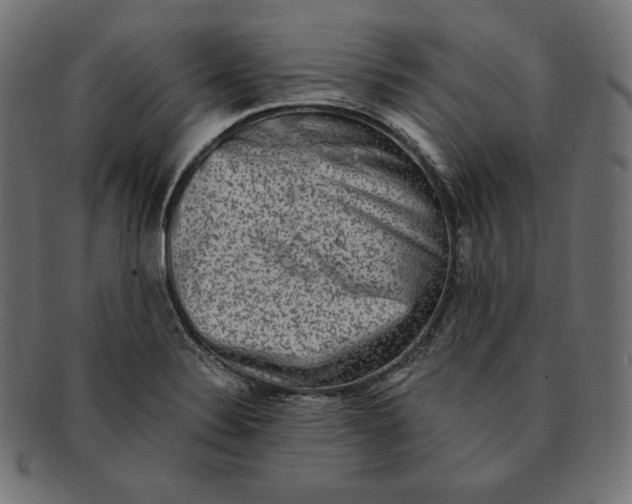 X0000091681324200709201231