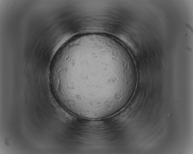 X0000091681325200709201231