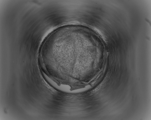 X0000091681326200709201231