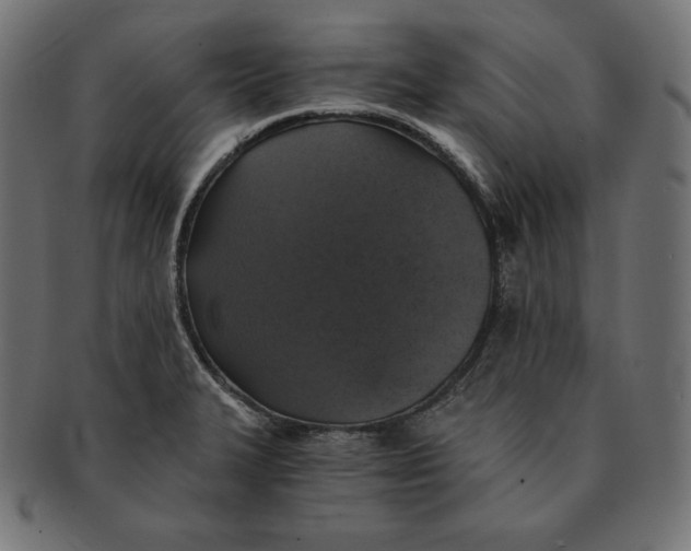 X0000091681327200709201231