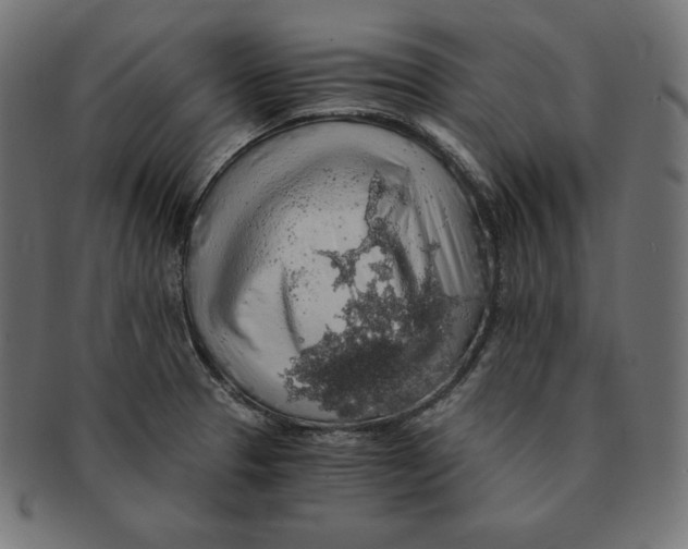 X0000091681329200709201231