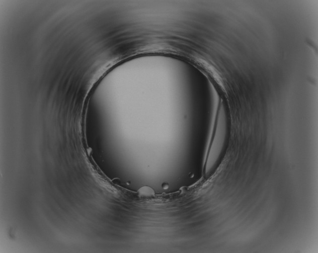 X0000091681330200709201231