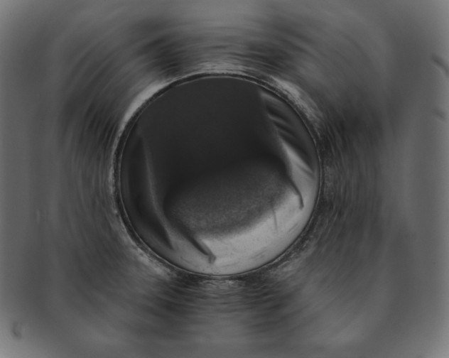 X0000091681331200709201231