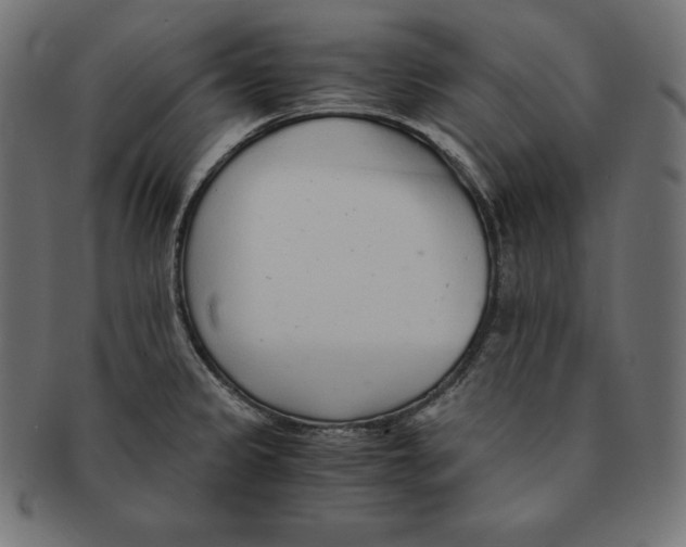 X0000091681333200709201231