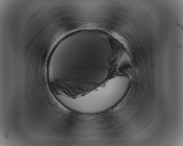 X0000091681334200709201231