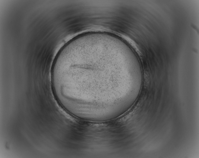 X0000091681335200709201231