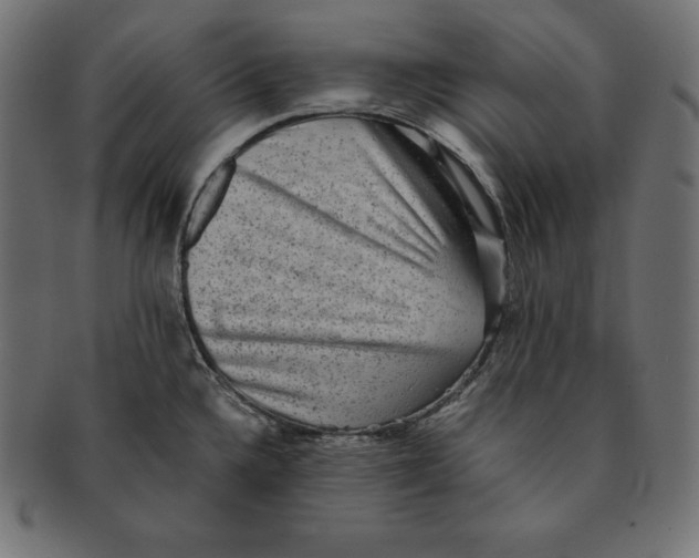 X0000091681336200709201231