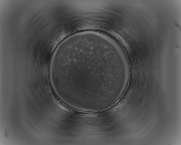 X0000091681337200709201231