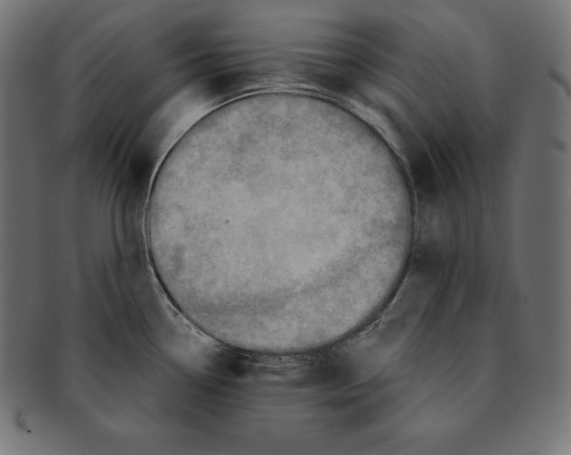 X0000091681338200709201231