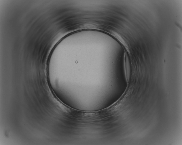 X0000091681339200709201231