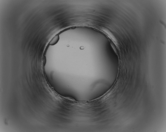 X0000091681340200709201231