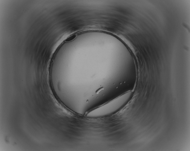 X0000091681341200709201231