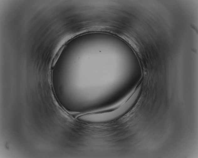 X0000091681342200709201231