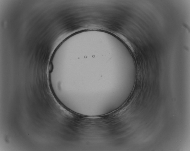 X0000091681343200709201231