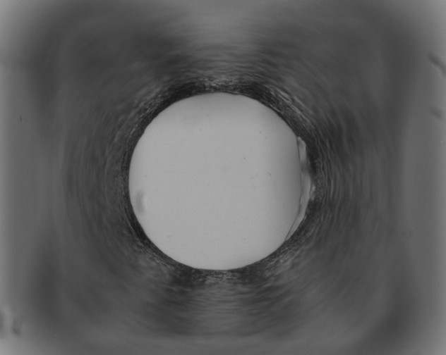 X0000091681345200709201231