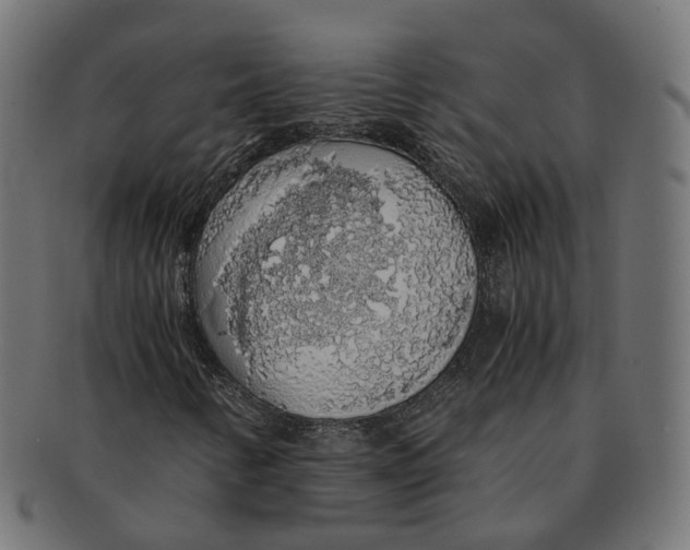 X0000091681346200709201231