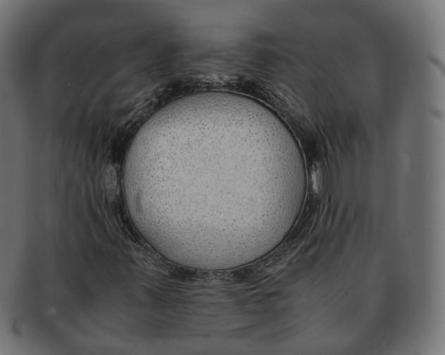 X0000091681347200709201231