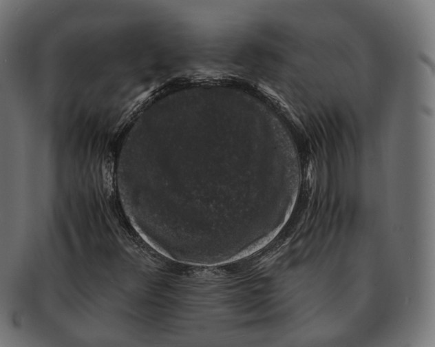 X0000091681348200709201231