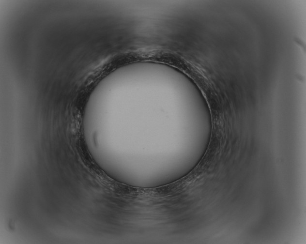 X0000091681349200709201231