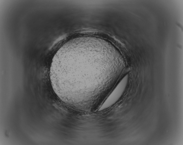 X0000091681351200709201231