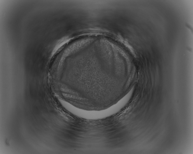 X0000091681352200709201231