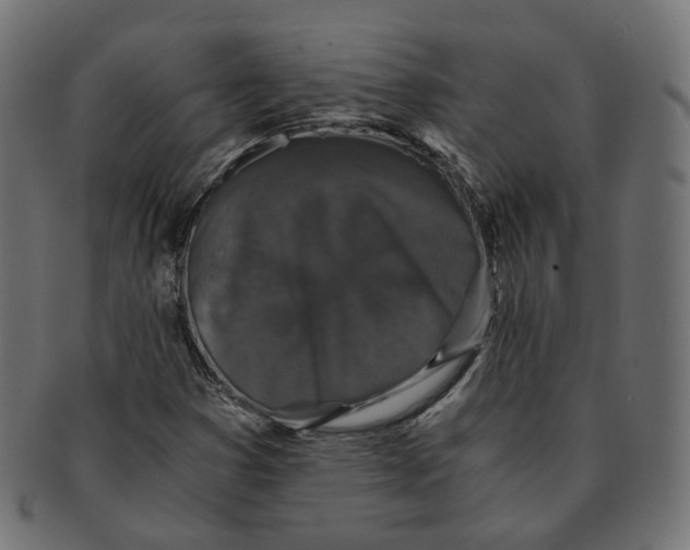 X0000091681353200709201231