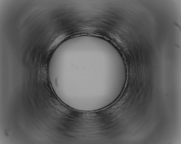 X0000091681354200709201230