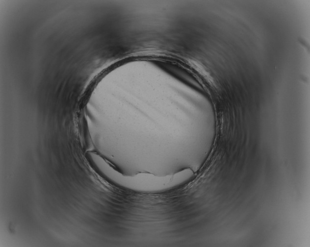 X0000091681356200709201230