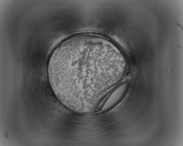 X0000091681358200709201230