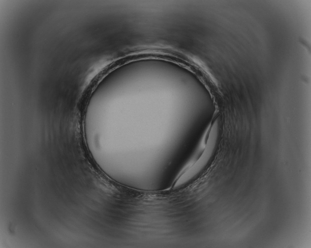 X0000091681360200709201230