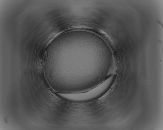 X0000091681361200709201230