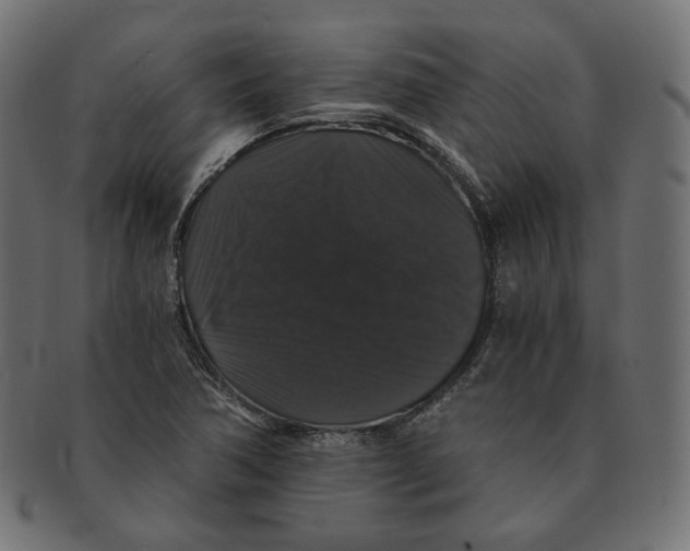 X0000091681362200709201230