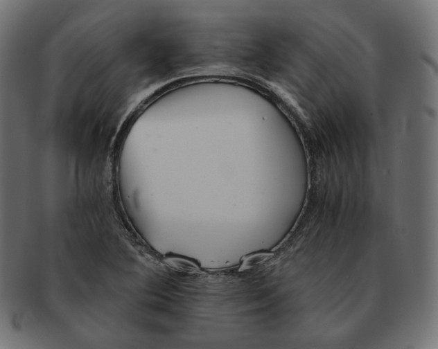 X0000091681364200709201230